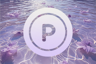 ランク別ポイント還元