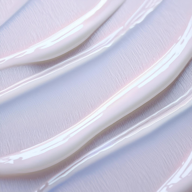 新商品イメージ